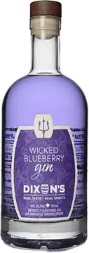 Dixon's Dixons Wicked Blueberry Gin