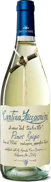 Cantina Zaccagnini Zaccagnini Tralcetto Pinot Grigio