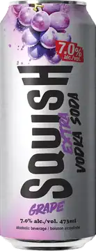 Parallel 49 Brewing Squish Extra Vodka Soda Grape