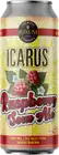 Oxus Brewing Icarus Raspberry Sour Ale
