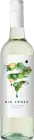 Big Crush Pinot Grigio