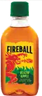 Fireball Blazin Apple Liqueur